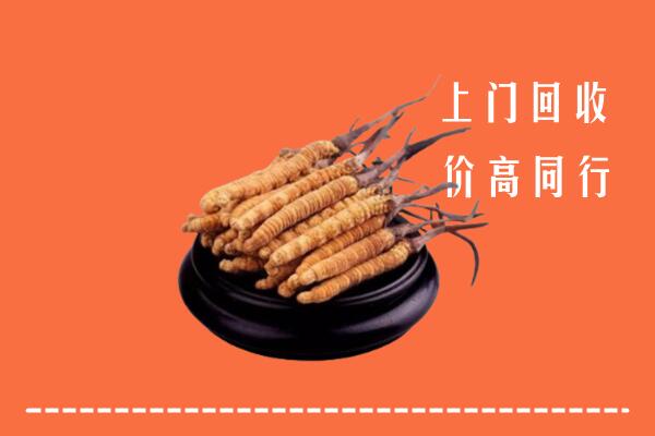 高价求购：安康市回收散虫草